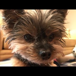 Meet your Posher, Heather